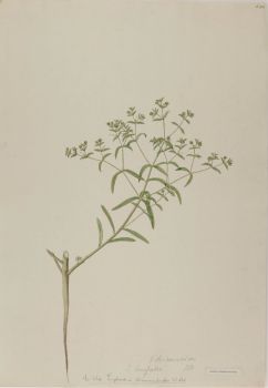 no HD illustration available (4)