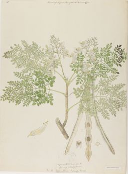 no HD illustration available (4)