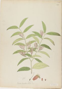 no HD illustration available (4)