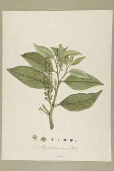 no HD illustration available (4)