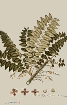 no HD illustration available (4)