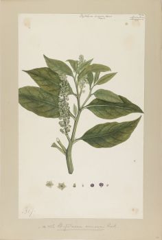 no HD illustration available (4)