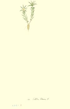 no HD illustration available (4)