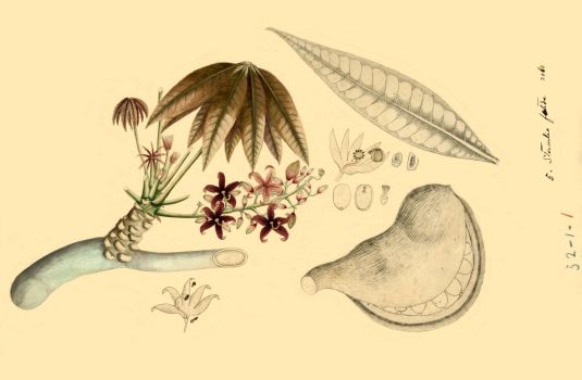 no HD illustration available (4)