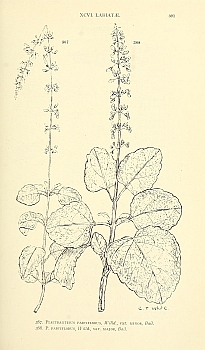 no HD illustration available (4)