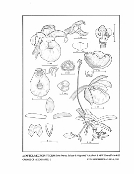 no HD illustration available (4)