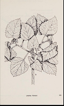 no HD illustration available (4)