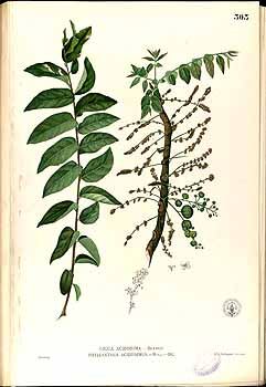 no HD illustration available (4)