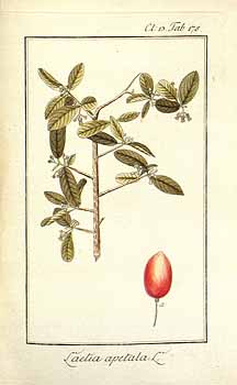 no HD illustration available (4)