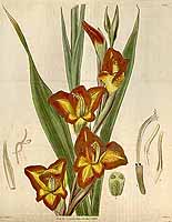  no thumbnail available