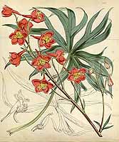  no thumbnail available