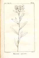  no thumbnail available