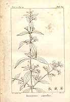  no thumbnail available