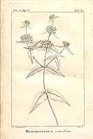  no thumbnail available