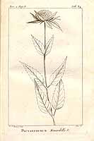  no thumbnail available