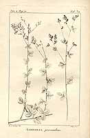  no thumbnail available