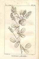  no thumbnail available