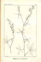  no thumbnail available