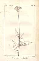  no thumbnail available