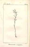  no thumbnail available