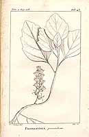  no thumbnail available