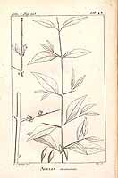  no thumbnail available