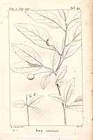  no thumbnail available