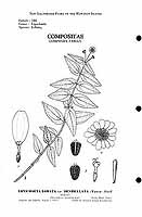  no thumbnail available