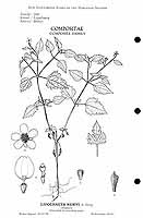  no thumbnail available