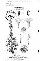  no thumbnail available