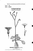  no thumbnail available