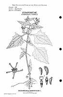  no thumbnail available