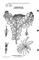  no thumbnail available