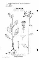  no thumbnail available