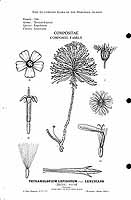  no thumbnail available