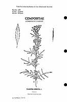  no thumbnail available