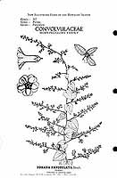  no thumbnail available