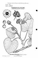  no thumbnail available