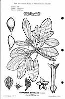  no thumbnail available