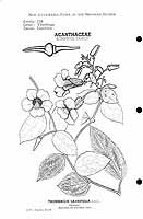  no thumbnail available