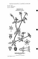  no thumbnail available