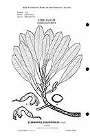  no thumbnail available