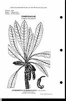  no thumbnail available