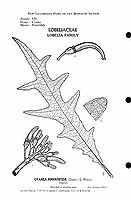  no thumbnail available