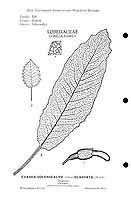  no thumbnail available