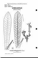  no thumbnail available