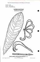  no thumbnail available