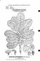  no thumbnail available