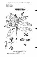  no thumbnail available