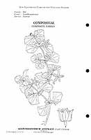  no thumbnail available